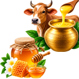 Cow Ghee